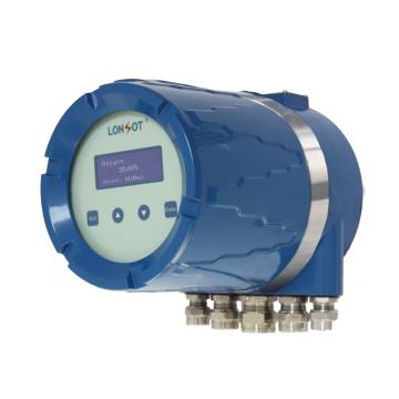 朗弘 氧量/COe气体分析仪（双组份测量全套装置），SERVOCC6100 双组份测量全套装置 售卖规格：1箱