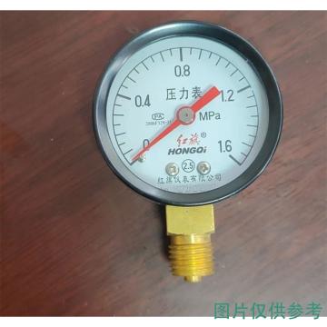 红旗 氮气压力表，2.5MPa表盘直径50mm,径向不带边,2.5级,不充液，ZG1/4