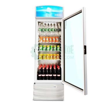 星星 立式单门商用冷藏展示柜，LSC-303G 售卖规格：1台
