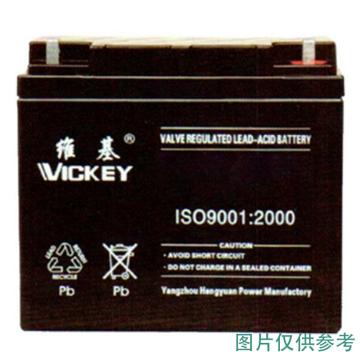 维基 蓄电池，6-GFM-200 12V/200AH，552*240*244mm(如需配线提前沟通) 售卖规格：1块