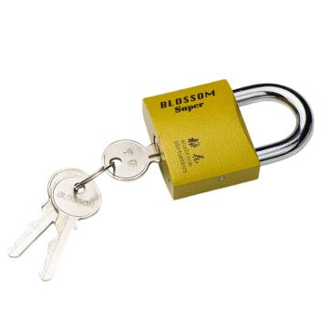 梅花锁 仿铜挂锁，梅花 仿铜挂锁，不通开，25MM 售卖规格：1个
