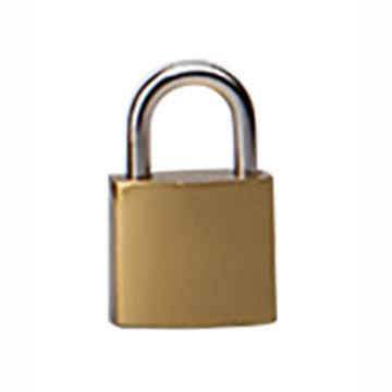 炬芯 仿铜挂锁，锁体宽20mm 不通开含3个钥匙 IB620D 售卖规格：1个