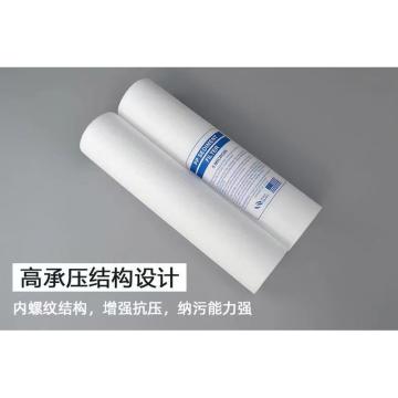 佰时来福 保安过滤器滤芯，40寸，滤芯长度1000mm，外径60mm，过滤精度5nm，内无骨架