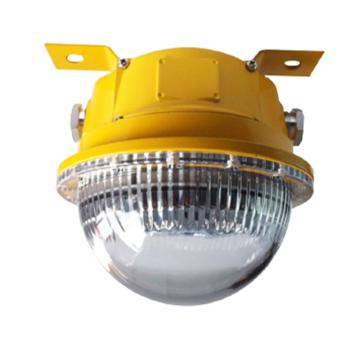 宗普 固态免维护LED防爆灯，ZPB801-20W 售卖规格：1个