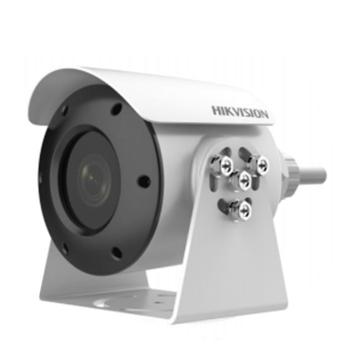 海康威视 监控摄像头，2XE3046FWD-I 4MM 售卖规格：1件