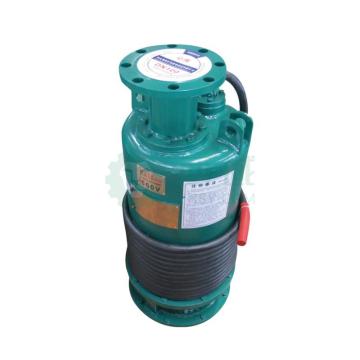 心传 矿用隔爆型潜水排沙电泵，BQS50-120 售卖规格：1台