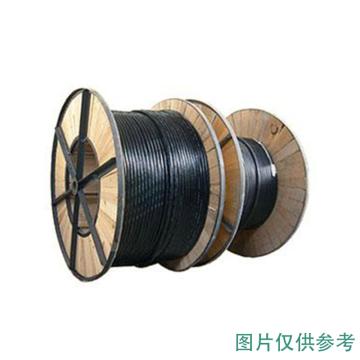 远东 耐候耐油重型橡套软电缆，YCW-450/750V-3*95+2*50 售卖规格：1米