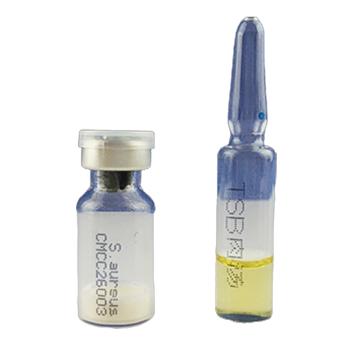 海博生物 金黄色葡萄球菌CMCC26003，HBJZ061 主要用于阳性对照反应和培养基质量控制等实验 售卖规格：1支