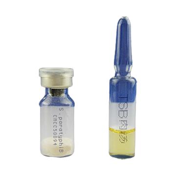 海博生物 乙型副伤寒沙门氏菌CMCC50094，HBJZ020 主要用于阳性对照反应和培养基质量控制等实验 售卖规格：1支