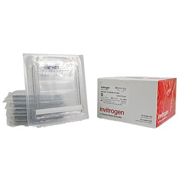 Invitrogen GeneArt NuPAGE™ 4-12%，Bis-Tris，1.0-1.5mm，小型蛋白凝胶，NP0327BOX ，9孔，10gels/盒 售卖规格：1盒