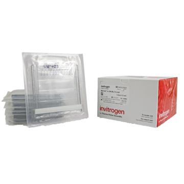 Invitrogen GeneArt NuPAGE™ 4-12%，Bis-Tris，1.0-1.5mm，小型蛋白凝胶，NP0321BOX ，10孔，10gels/盒 售卖规格：1盒