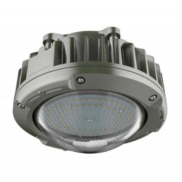 大猩猩 LED防爆灯，FBP8101-50A 50W，IP66，WF2 售卖规格：1箱