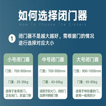 西域推荐 液压闭门器，自动款中号