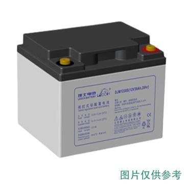 理士 AGM系列阀控式密封铅酸蓄电池，DJM12230S (如需配线提前沟通) 售卖规格：1块