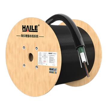 海乐 6芯单模室外铠装光纤光缆 中心束管式GYXTW-6b1.3，HT210-6S （多卷整条发货） 售卖规格：100米/卷