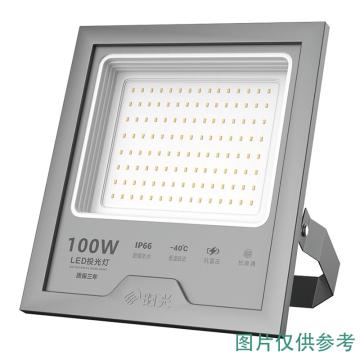 阳光照明 LED投光灯，ZDL3020 100W，260*230*49mm，4000K，中性光，明装 售卖规格：1个