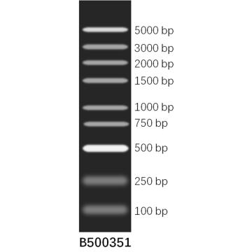 生工/sangon biotech DNA 分子量标准Marker (100~5000 bp)，B500351-0500 ，500μl/瓶，-20℃冷冻 售卖规格：500微升/瓶