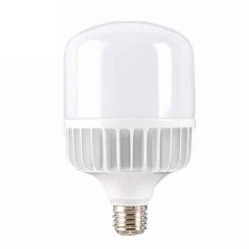 龙代 LED球泡灯，24W，6500K，白光 售卖规格：1个