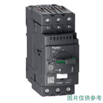 施耐德电气 TeSys D电动机热磁断路器，GV3P80 56-80A 售卖规格：1个
