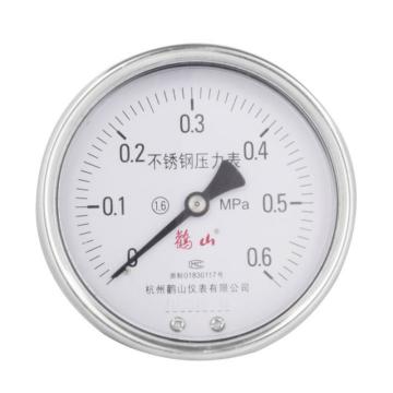 西域推荐 杭州鹳山 全不锈钢轴向压力表，Y100BF-Z 1.6MPa