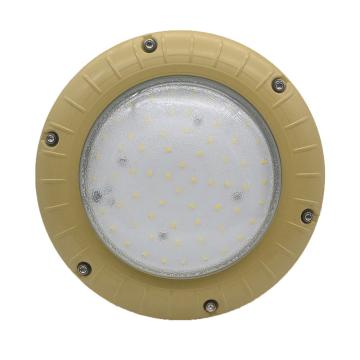 纽厄尔 LED防爆应急灯，NEW-FBB006 售卖规格：1个
