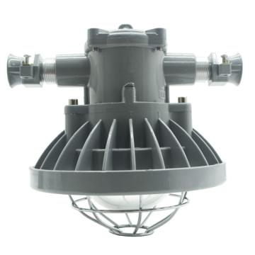 纽厄尔 矿用隔爆型LED巷道灯，DGS36/127L(A)-36W 售卖规格：1个
