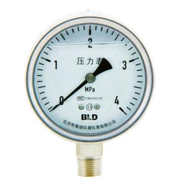 布莱迪/BLD 压力表，YTH-100.AO.531.M550.M20,不充油 售卖规格：1个