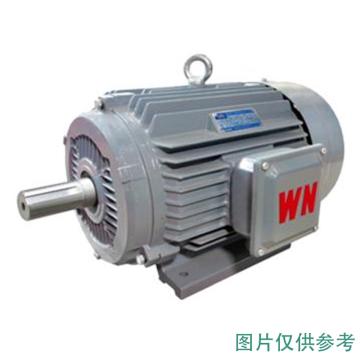 皖南电机 YE3超高效三相异步电机，YE3-180L-8，11KW，B35，R 接线盒在右 售卖规格：1台