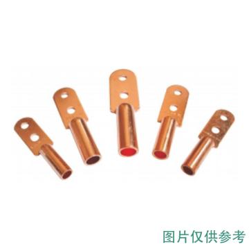 固力发 圆头双孔DT铜接线端子（镀锡），DT2-120（镀锡） 售卖规格：10只/包