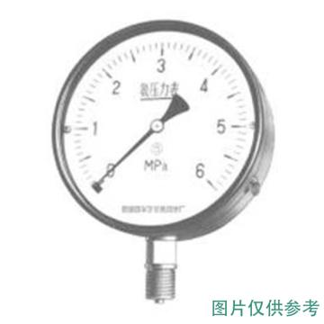 上仪 氨用压力表，YA-150径向不带边,Φ150 0~2.5MPa,M20*1.5 售卖规格：1个