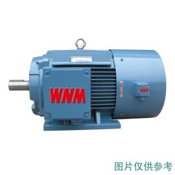 皖南电机 YXVF高效变频三相异步电机，YXVF355M2-6，200KW，B5，R 接线盒在右 售卖规格：1台