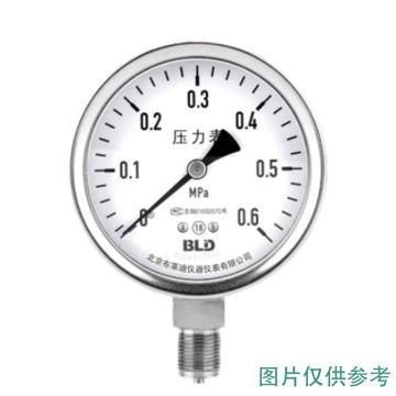布莱迪/BLD 不锈钢氧用压力表，YTH100.AO.531.M180.Z14 0-4.0MPa 氧压表盘禁油处理 售卖规格：1个