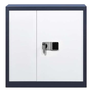 中芯 钢制矮柜电子密码防盗矮柜保密柜，QLZX151 厚度0.9mm 900*420*900mm 蓝白套色 售卖规格：1个