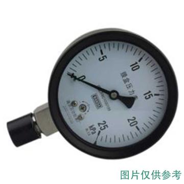 万达 膜盒压力表，YJTE 碳钢+铜,径向不带边Φ100,2.5级,0~2.5KPa,NPT1/2 售卖规格：1个