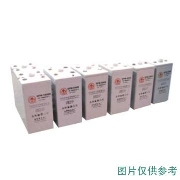 火炬 GFMJ系列固定型控阀密封式胶体蓄电池 2V/2500Ah，GFMJ-2500 (如需配线提前沟通) 售卖规格：1个