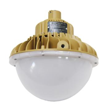 森本 免维护节能防爆灯，FGA1308-LED40 ，40W，白光， 售卖规格：1个