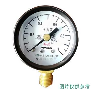 红旗 压力表，Y-40 碳钢＋铜,径向不带边,M10*1,-0.1~0MPa 售卖规格：1台