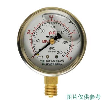 红旗 耐震压力表，YTN-50 碳钢＋铜,径向不带边,M14*1.5,0~2.5MPa 售卖规格：1台