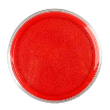 新绿天章 探戈透明圆形快干红色印台，8026 Φ60mm/新老包装随机发货 售卖规格：1个