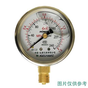 红旗 耐震压力表，YTN-40 碳钢＋铜,径向不带边,M10*1,0~25MPa 售卖规格：1台