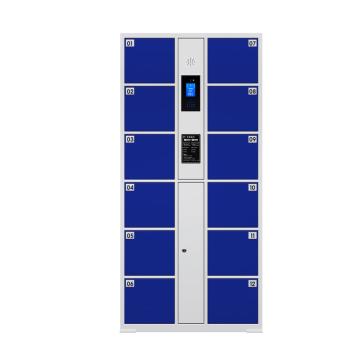 Raxwell 智能电子存包柜12门,850×460×1800mm,人脸识别型,蓝色，RHAS0034 售卖规格：1台