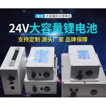 西域推荐 大容量锂电池，24V30AH(带耳款）[含充电器]