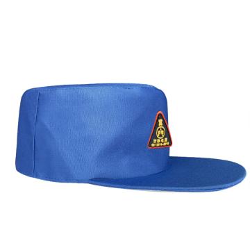 英格杰家 防静电耐酸碱防尘工作帽，TZS13MZ，艳蓝色 均码 售卖规格：1顶