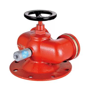 华泰 消防水泵接合器，SQD150_1.6MPA 售卖规格：1个