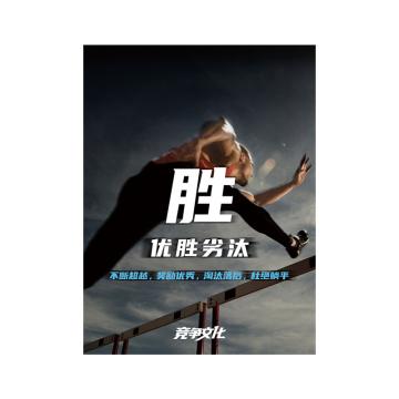 海宸 宣传海报，背胶粘贴，60cm*80cm 售卖规格：1张