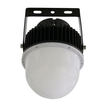 凯勒/CARELUX LED平台灯，KLP9000-50W IP65，圆形 售卖规格：1个