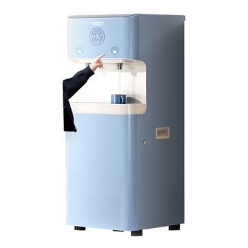 史密斯/A.O.SMITH 双温开水双龙头反渗透净水机直饮机，BZR600-S6 600G新一级水效高温杀菌双温开水 售卖规格：1台