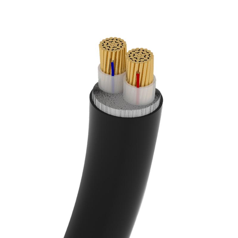 世腾 铜芯交联聚乙烯绝缘聚氯乙烯护套电缆，YJV-0.6/1kV-2*6 售卖规格：1米