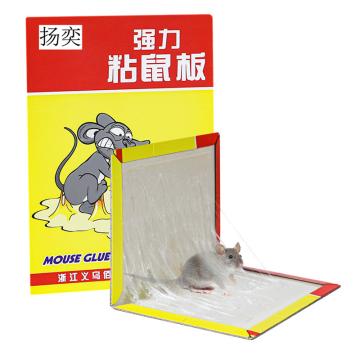 佰凌/BAI LING 强力粘鼠板，芷慧A01 5片装 5片/包 售卖规格：5片/包