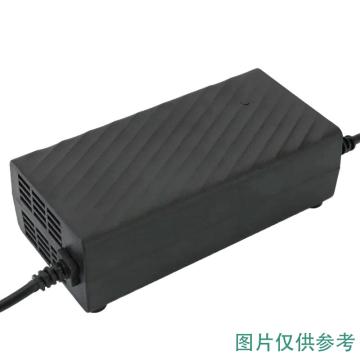 西域推荐 电动三轮车电瓶充电器，48V45A 售卖规格：1个